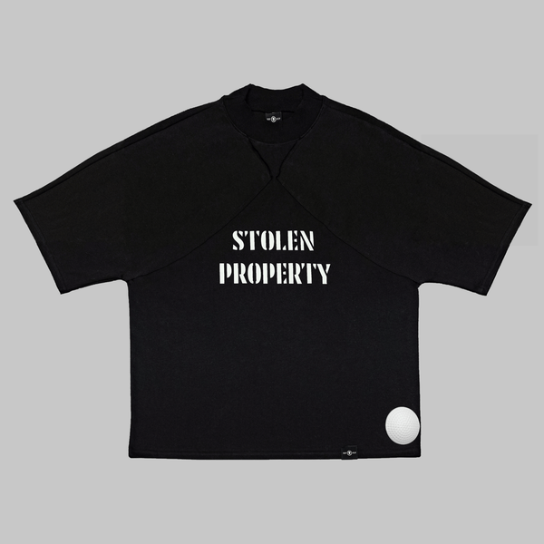 SLIGHTLY DISAPPOINTING T - SHIRT 1.0 - STOLEN PROPERTY - SDF.RIP