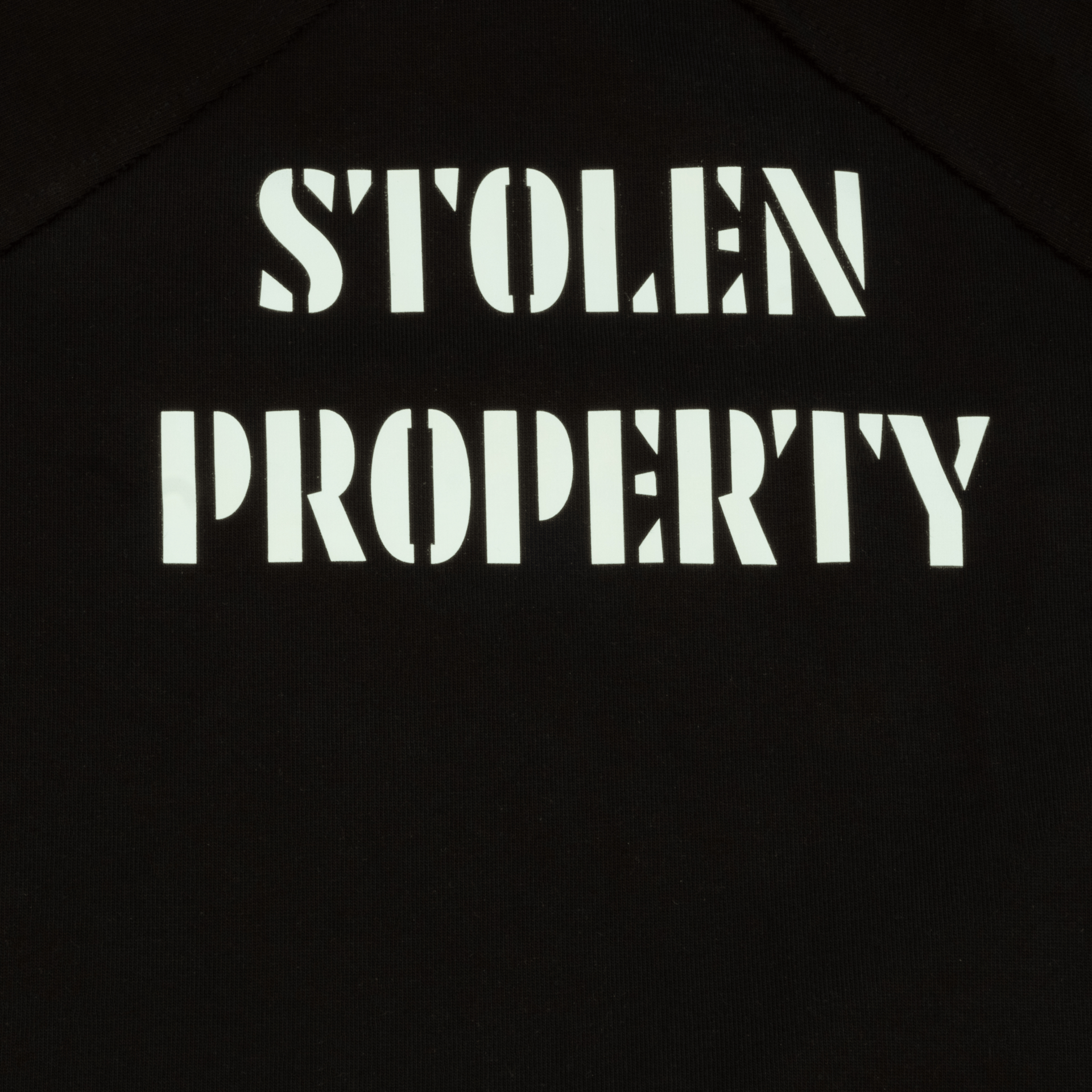 SLIGHTLY DISAPPOINTING T - SHIRT 1.0 - STOLEN PROPERTY - SDF.RIP